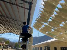 Estudiantes y docentes de la Secundaria No. 44 “Agustín Yáñez” en el municipio de Urique, desarrollaron un proyecto de construcción de techumbres a base de botellas de plástico, como parte de un programa ambiental local.