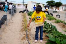 Alumnas y alumnos de la Escuela Primaria Federal Socorro Rodríguez Vázquez de Ciudad Juárez, participan en el proyecto autosustentable Nuestro Huerto Escolar, con el cual lograron cultivar hortalizas y fruta en un espacio de suelo arenoso, transformado en tierra de cultivo.